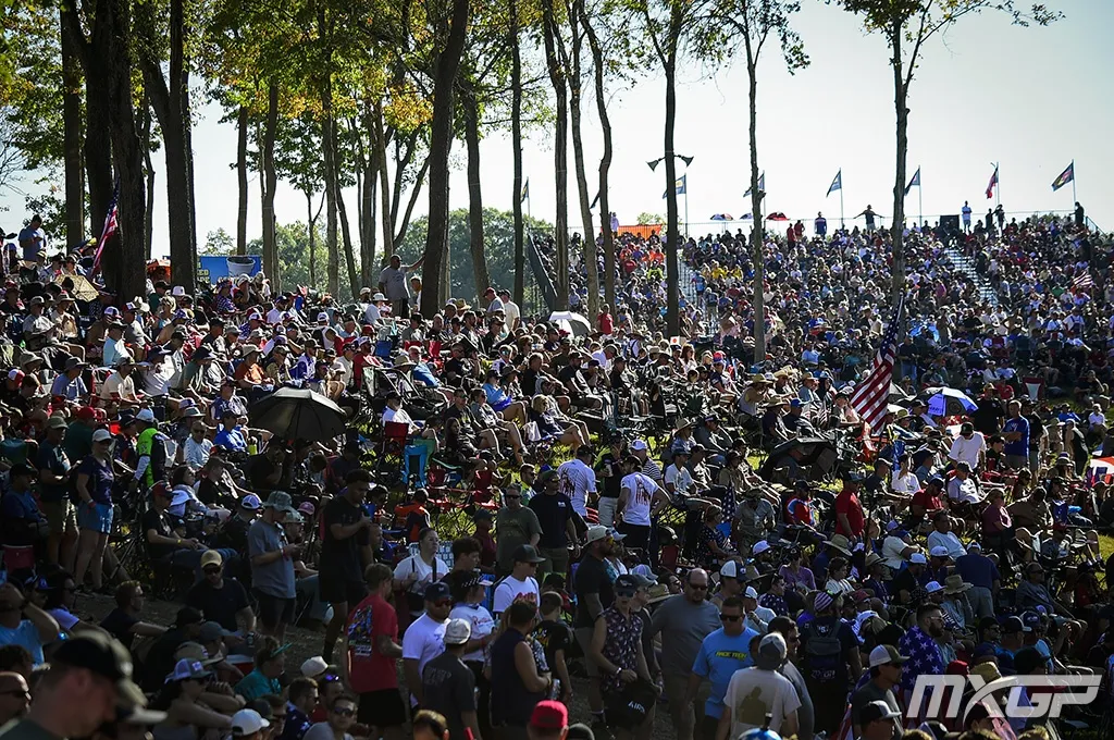 MXON